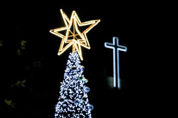 성탄트리 점등식