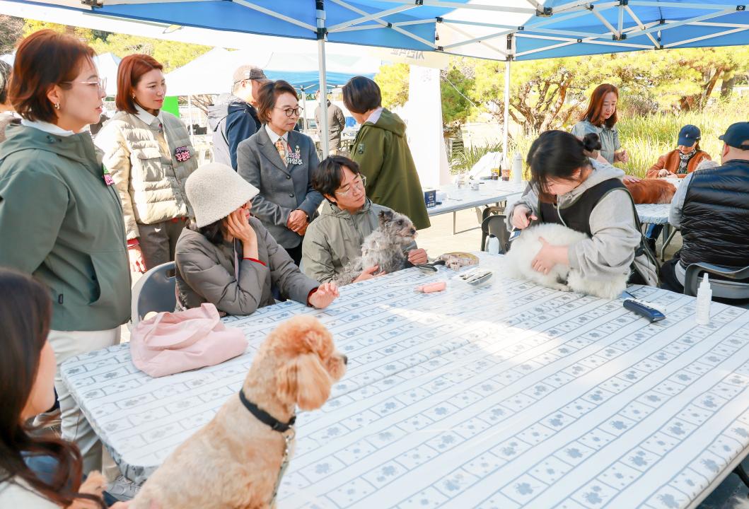 '댕댕이 시민학교' 게시글의 사진(2) '5S6A9848.jpg'