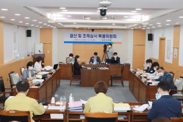 제246회 제1차 정례회 결산 및 조례특별위원회